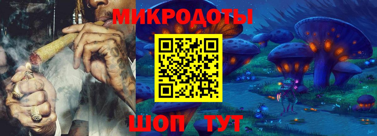 Псилоцибиновые грибы Cubensis Ступино